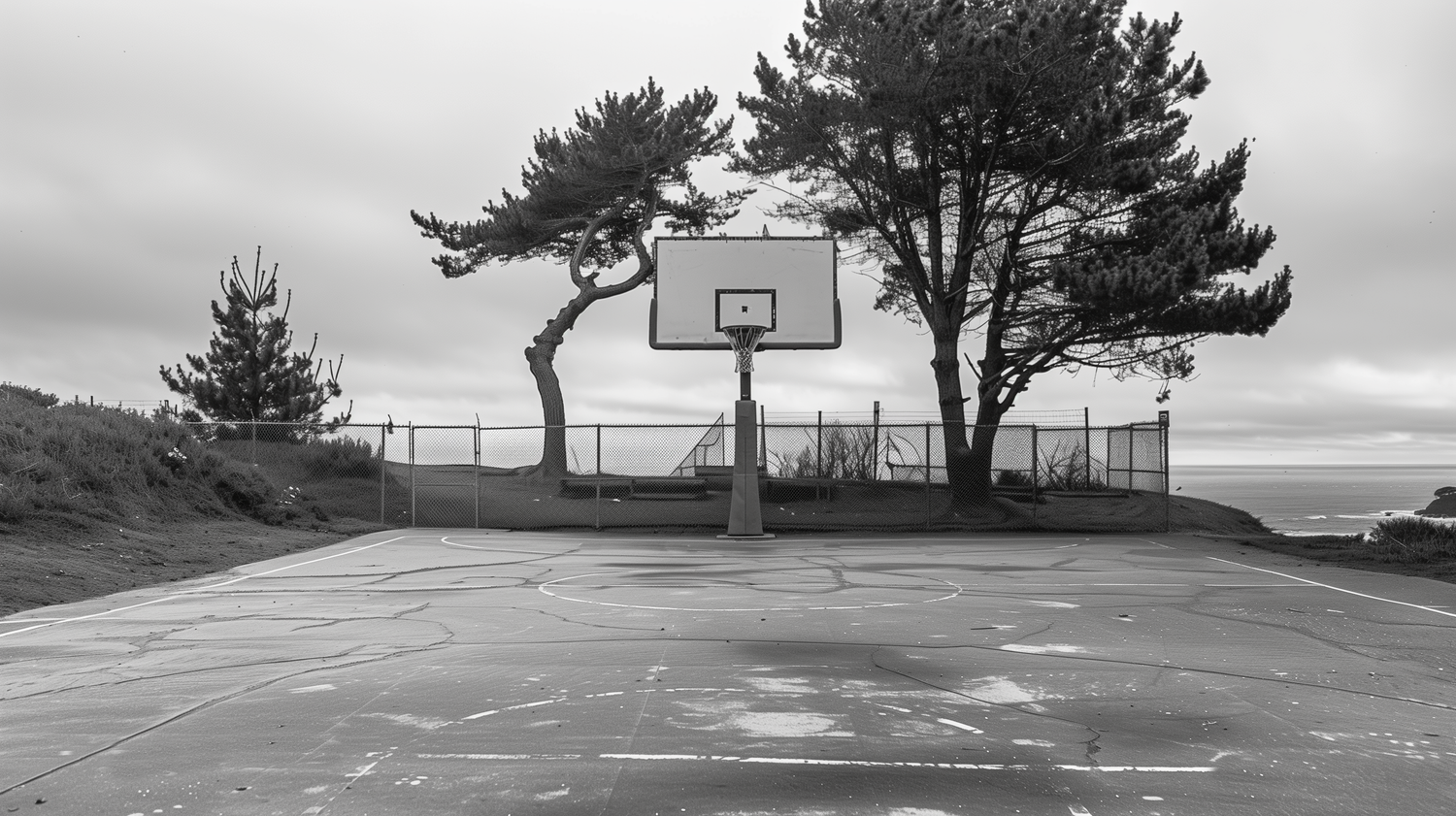 outdoor court next to the beach shore